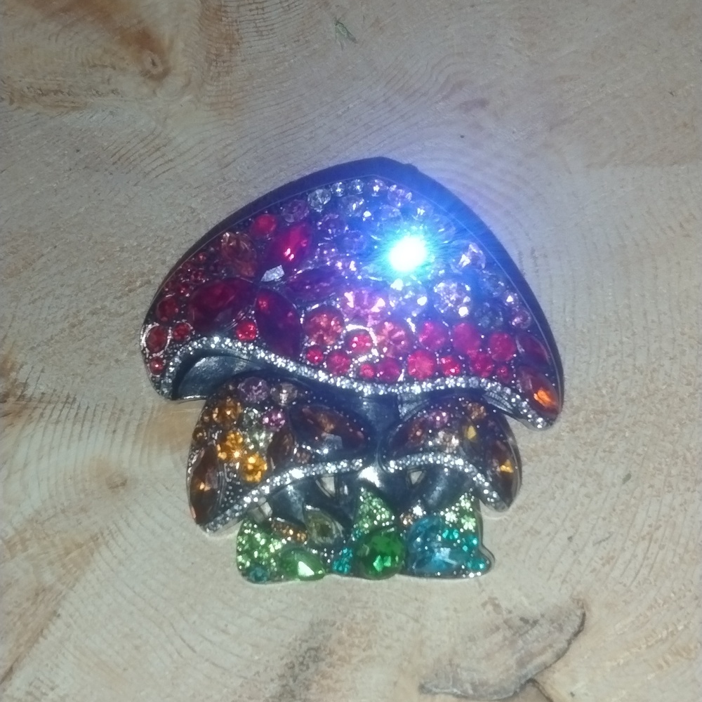 Mushroom brooch